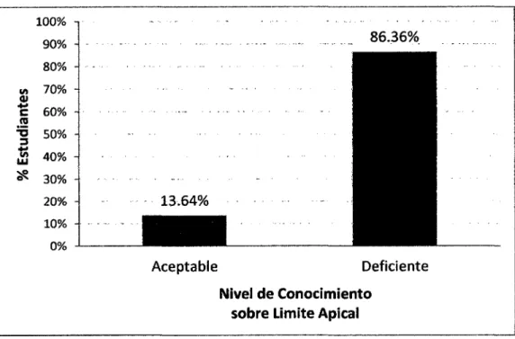 GRÁFICO No 05 