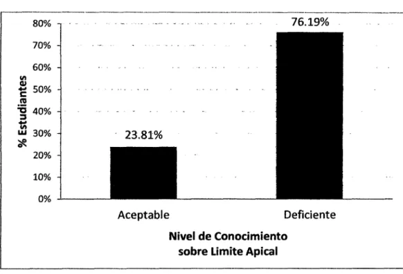 GRÁFICO N° 06 