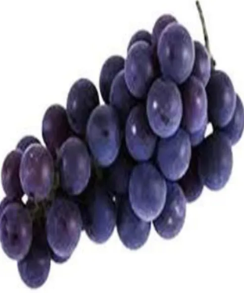 Figura 14.Racimo de uva variedad Gross Colman    
