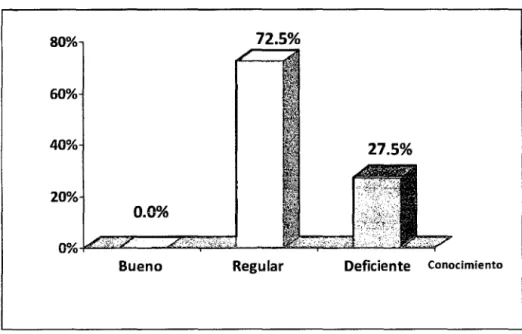 GRÁFICO N° 01. 