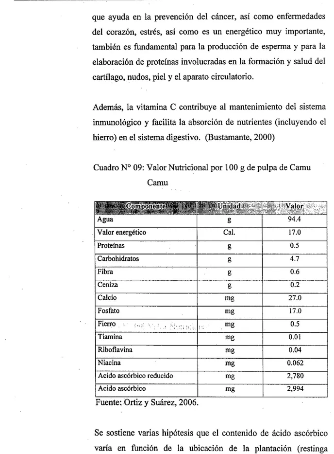 Cuadro N° 09:  Valor Nutricional por 100 g de pulpa de Camu  Camu 