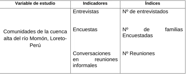 Cuadro 01.  Variables de estudio indicador e índice. 