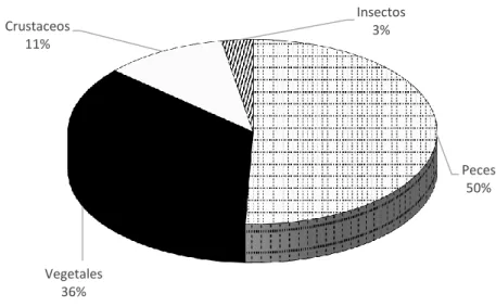 Figura 9.  Porcentaje de ítems alimenticios de ejemplares machos y hembras de  Calophysus macropterus durante e noviembre 2014 a junio 2015 