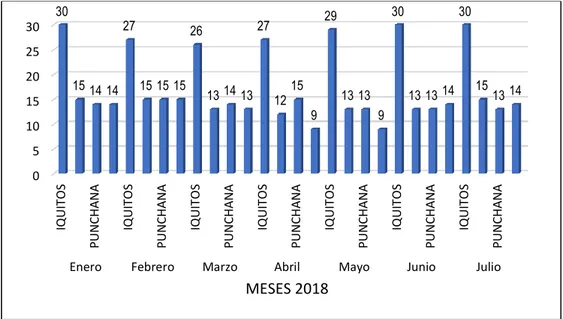 Gráfico  N°01:  Total  de  muestras  analizadas  en  la  ciudad  de  Iquitos,  distribuidos por distritos