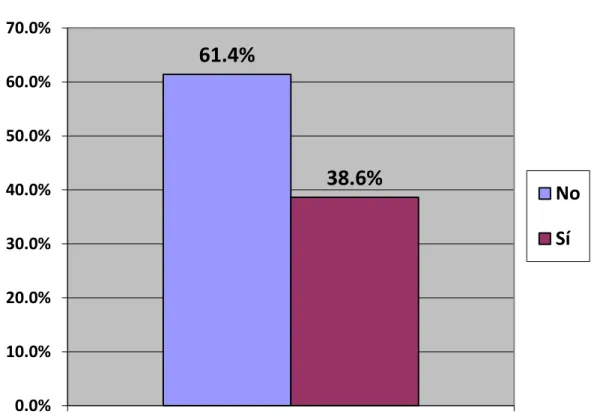 Gráfico N° 09 