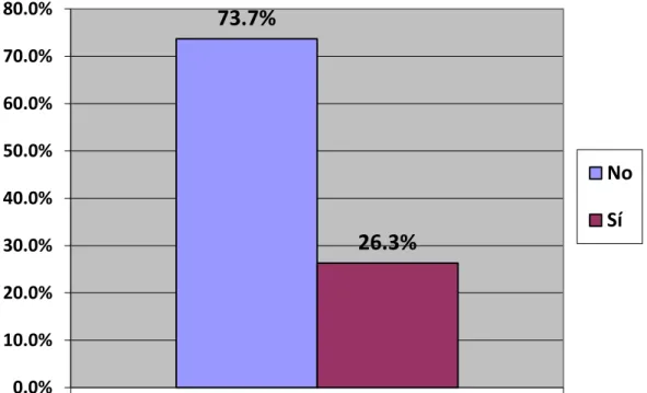 Gráfico N° 10 