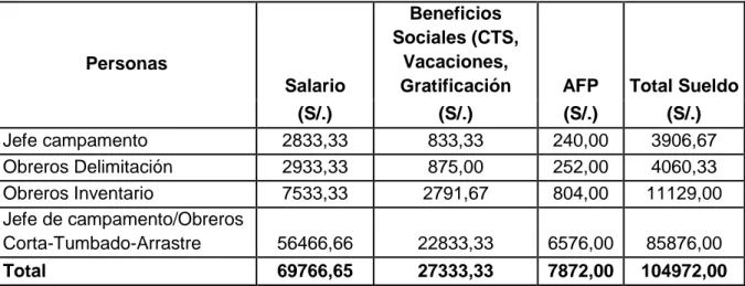 Cuadro 10.   Costos de sueldos y salarios del personal.   Personas  Salario  Beneficios  Sociales (CTS, Vacaciones, 