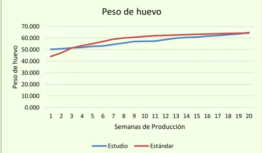 Gráfico  3.  Curva  de  peso  de  huevos  de  las  gallinas  Babcock  Brown  evaluadas durante 20 semanas en el valle de Cajamarca