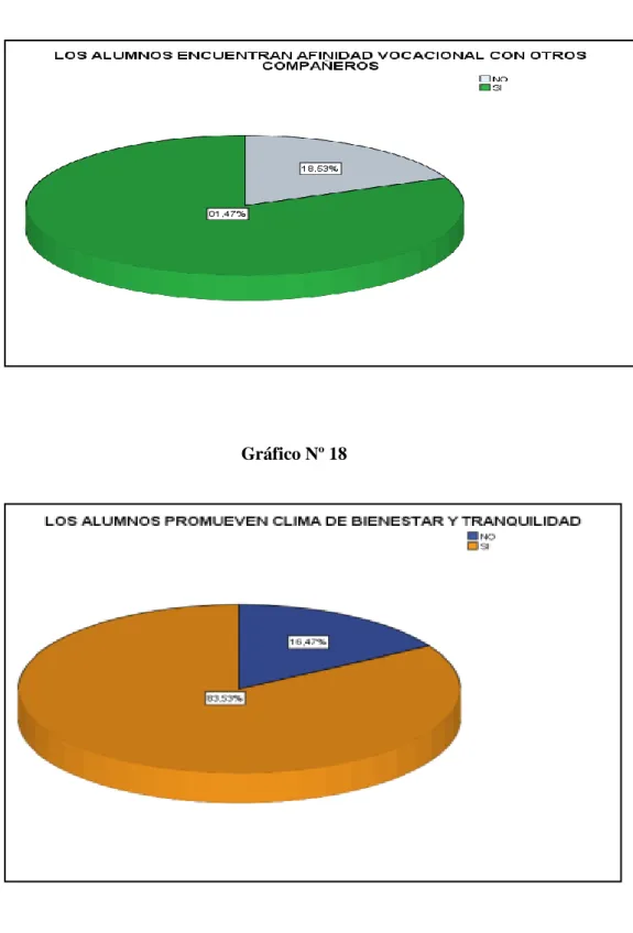 Gráfico Nº 18 
