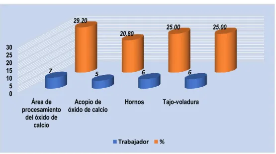 Gráfico 1 Distribución de trabajadores según área de trabajo de una empresa de  óxido de calcio en la ciudad de Bambamarca - 2018 