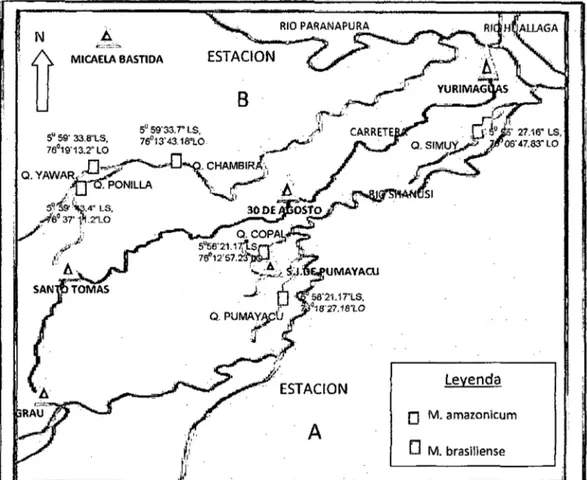 Figura  2 - Distribución  poblacional  de  camarones  Macrobrachium durante  el  periodo  de  estudio,  en  las  estaciones  y  subastaciones,  del  eje  carretero  Yurimaguas-Tarapoto entre los Km