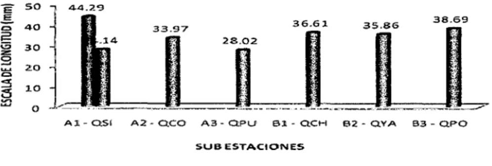 Figura  3.  Promedios  de  longitudes  por  sub-estaciones  de  muestreo  y  por especie