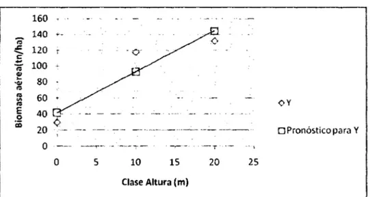 Cuadro 06.  Estadística de regresión  de la clase diamétrica y carbono almacenado. 