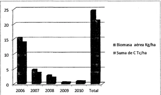 Figura 05. Biomasa y Carbono por año. 
