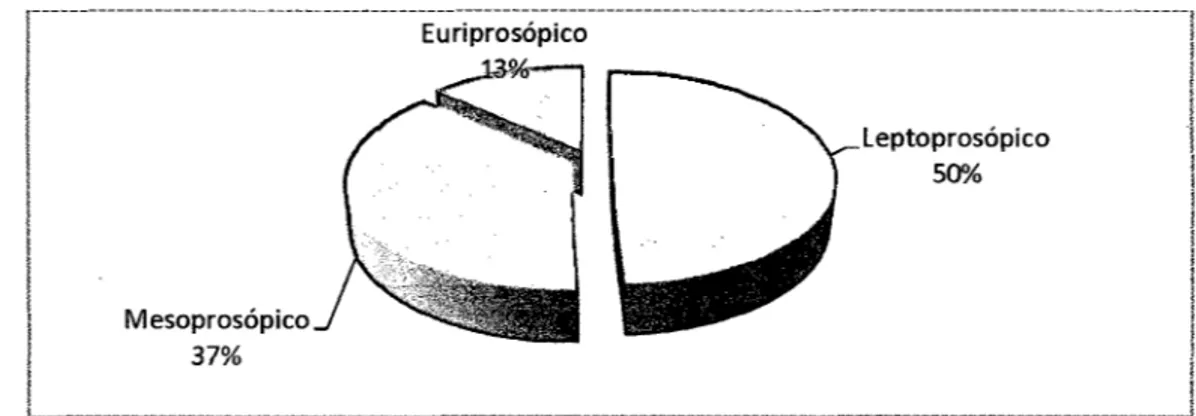 Cuadro 02.- Estudiantes de la Facultad de Odontología de la UNAP por Biotipo Facial 