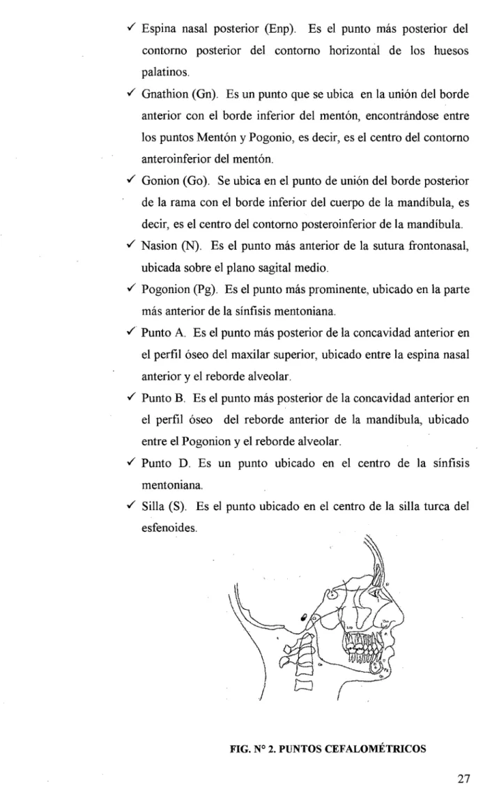 FIG. N° 2. PUNTOS CEFALOMÉTRICOS 