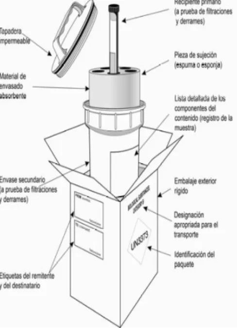 Figura 2: Sistema de embalaje triple  recomendado por la OMS para sustancias  infecciosas de la categoría B