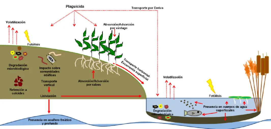 Figura  1. Representación del destino ambiental de los plaguicidas. 