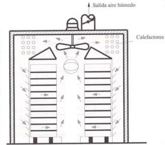 Figura N° 4. Esquema de un secadero de bandejas (Abril, J y Casp, P  1999). 
