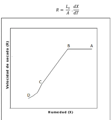 Figura N°7: Curva de velocidad de secado en función de la  humedad libre. 