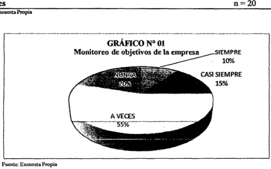 GRÁFICO N° 01 
