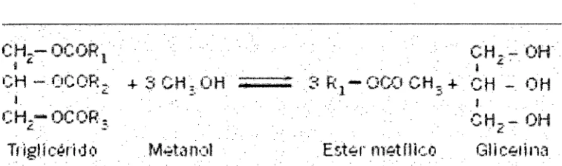 Figura .1.1:  Reacción de transesterificación con metanol 