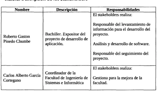 Tabla No  04: Resumen de Stakeholders 