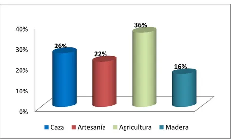 Gráfico 1: Principales actividades generadoras de ingresos económicos en CC.NN Boras de Brillo  Nuevo