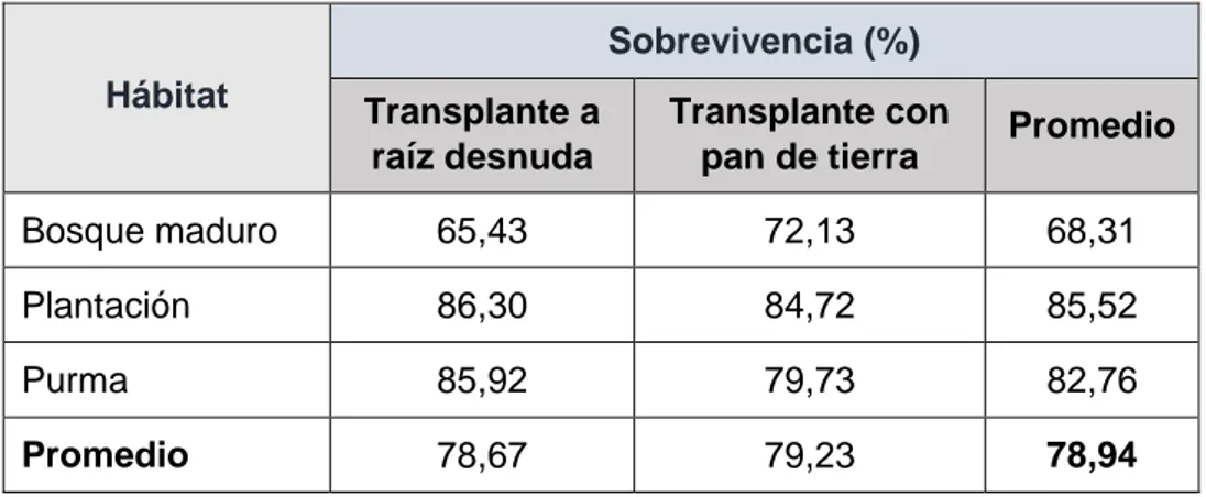 Cuadro 3. Porcentaje promedio de individuos sobrevivientes por hábitat y por tipo  de transplante