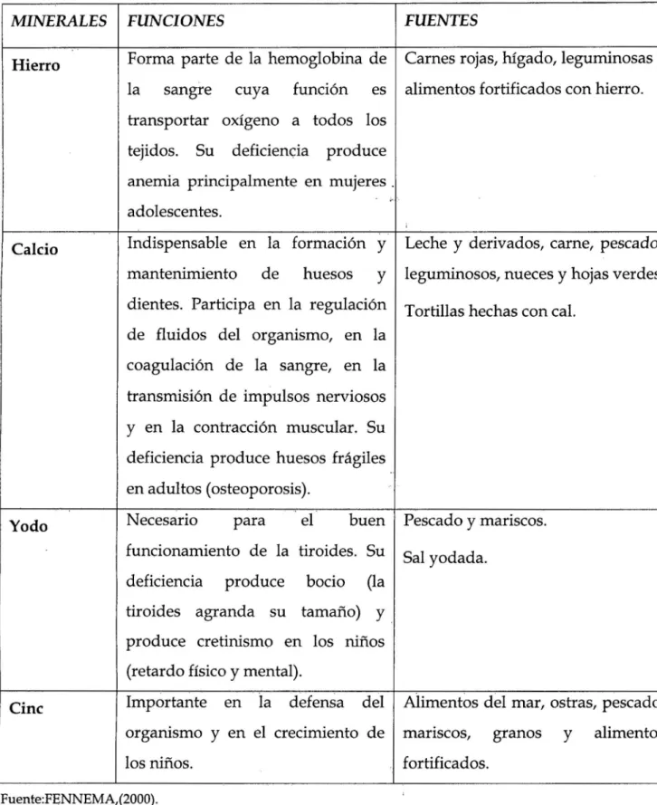 Cuadro No 03.  FUNCIONES Y FUENTES DE LOS MINERALES. 
