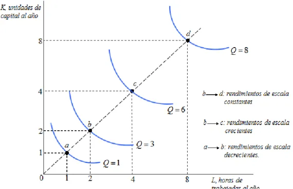 Figura 5. Isocuantas que muestran rendimientos a escala  constante, decrecientes y crecientes
