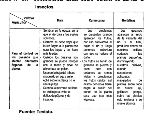 Cuadro  N°  05.  Conocimiento  Local  Sobre  Control  de  Larvas  de  Insectos. 