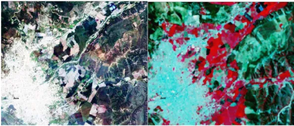 Figura 7. Imagen Rapideye de 5 m (izquierda), imagen Landsat 30 m combinación  432(derecha)
