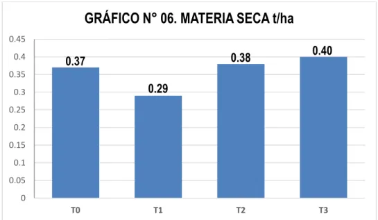 GRÁFICO N° 06. MATERIA SECA t/ha 