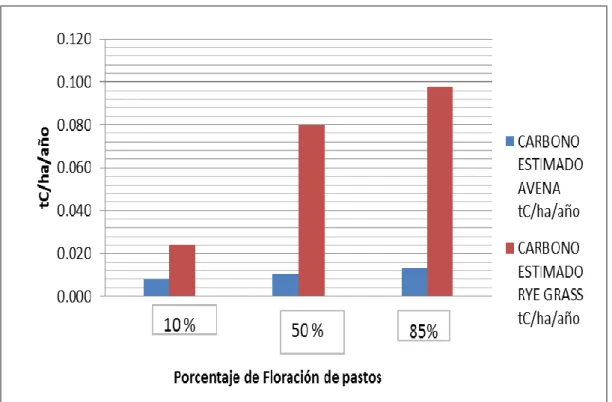 Gráfico 6. Determinación de carbono en la biomasa aérea de dos sistemas de  pastos de avena y rye grass      