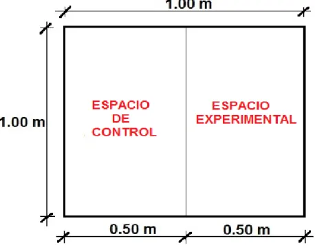 Figura 3.5: Representación gráfica de los espacios en estudio. 