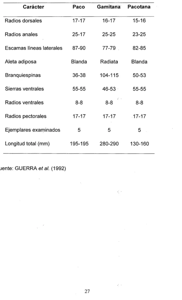 Tabla 02. Caracteres morfológicos de paco, gamitana y pacotana  Carácter  Paco  Gamitana  Pacotana  Radios dorsales  17-17  16-17  15-16 