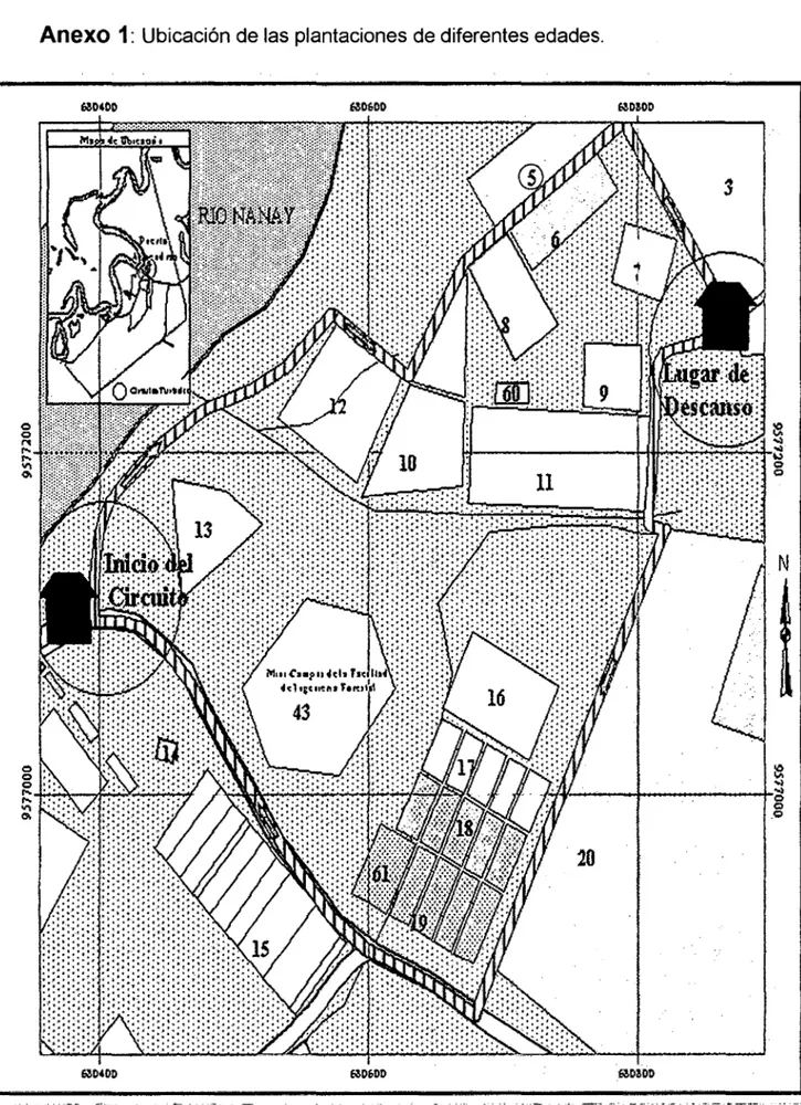 Figura 3:  Ubicación de la plantación de tornillo de 17 años. 