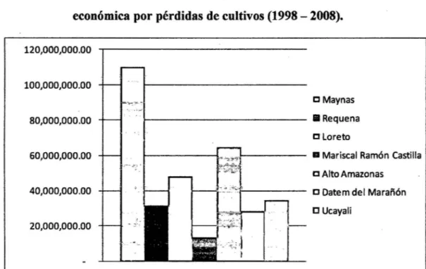 Gráfico N° 27: Provincias más vulnerables según valorización  económica por pérdidas de cultivos (1998- 2008)