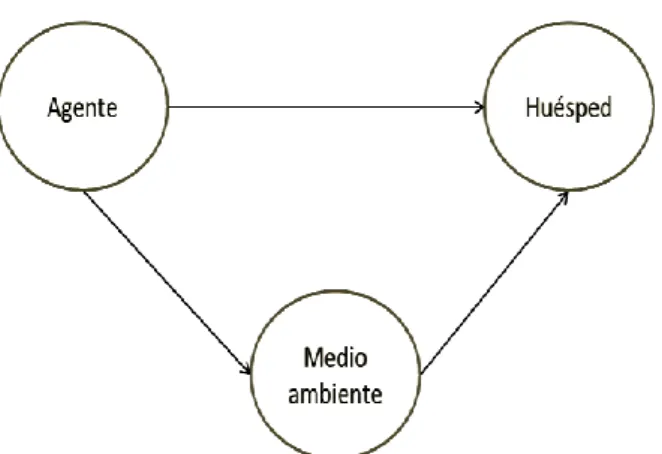 Gráfico 02. Modelo tradicional o triada ecológica. 