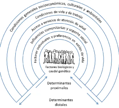 Gráfico 06. Modelo de determinantes de salud de Dahlgren y Whitehead (1991) 