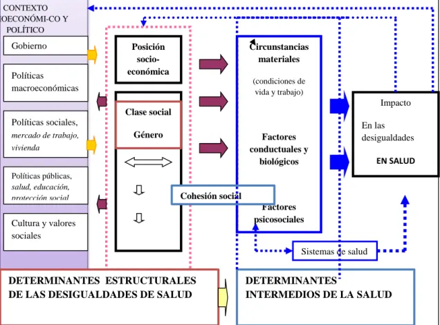Gráfico 07. Modelo de los determinantes estructurales e intermedios (CDSS, 2008). 