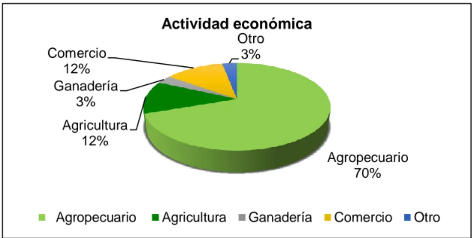 Figura 3. Actividad económica a la que se dedican los apicultores en el distrito de San 