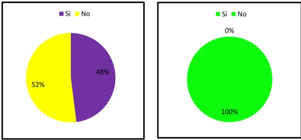 Gráfico 12. Conocimiento sobre ergonomía. 