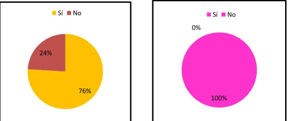 Gráfico 13. Información sobre TME. 