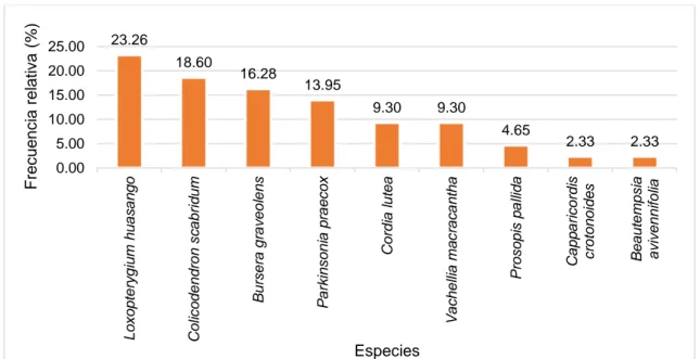 Figura 5. Frecuencia relativa de especies en el bosque  seco de la comunidad  campesina de San Gregorio-Sector El Marrufo