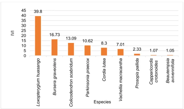 Figura  7.   Índice  de  valor  de  importancia  en  el bosque  seco  de  la  comunidad  campesina San Gregorio-Sector El Marrufo 