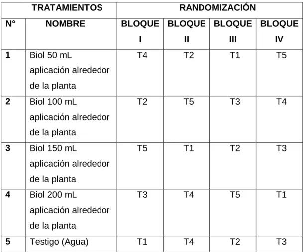 Tabla 5.  Tratamiento y randomización del experimento en estudio: “Efecto de cuatro dosis  de biol en el rendimiento de lechuga (Lactuca sativa L.) var White Boston”