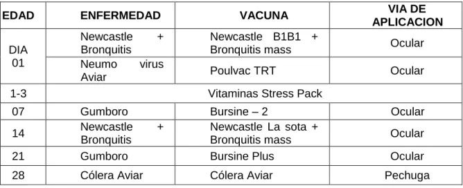 Tabla 06.  Plan  de vacunaciones 