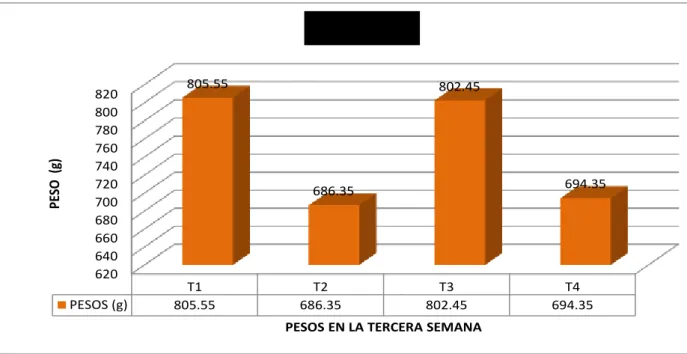CUADRO  08. PESOS CUARTA SEMANAS (g) 